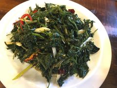 -左陕右甘(亚运村店)