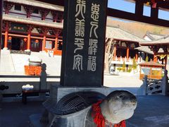 -威海华夏城景区