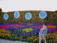 -杭州湾海上花田景区