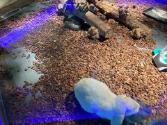 -昆明大悦城未来动物城(螺蛳湾中心店)