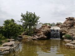 -石家庄市植物园