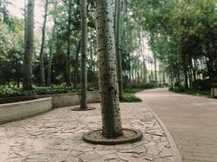 -仁和公园(顺义区)