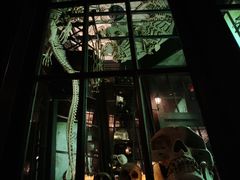 哈利波特-奥兰多环球影城