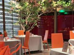 -星·South Beauty·俏江南(国贸店)