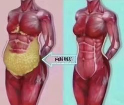-Fundi张玉珊修身堂·indiba·BTL科技瘦身