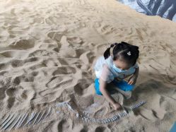 -恐龙探索乐园(磁器口店)