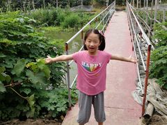 -马陆小张葡萄园农家乐