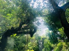 -Chom Cafe and Restaurant