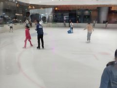 -TheRink大零溜冰场(IFS国金中心店)
