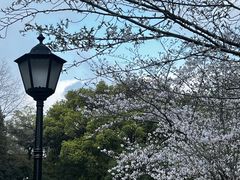 -上海瑞金洲际酒店