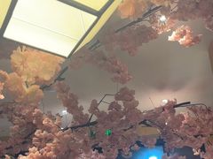 -九田家黑牛烤肉料理(华侨城店)