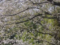 -昆山城市公园