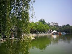 -莲湖公园