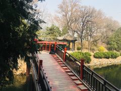-听鹂馆饭庄(颐和园店)