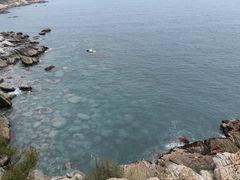 -广东惠东海龟国家级自然保护区