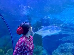 -左海海底世界