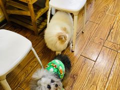 -志龙皇冠吃货椰子铺