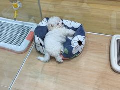 -永旺梦乐城(金银潭店)
