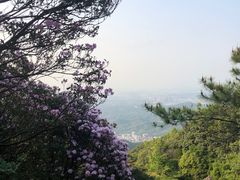 -梧桐山风景名胜区