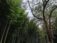 -黄公望隐居地