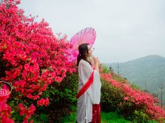 -木兰云雾山