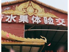 -曼阁市场水果批发市场