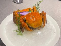 熟醉蟹-福玺荟(外滩罗斯福店)
