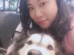 -more than meow吴止猫主题餐厅(承德 中船汇店)