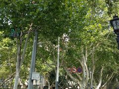 -长江路历史文化街区
