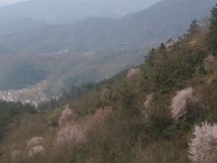 -东白山