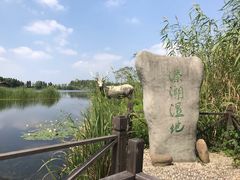 -溱湖国家湿地公园