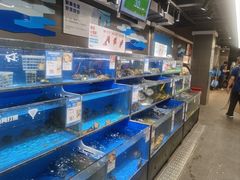 -盒马鲜生(双清路店)