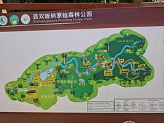 -西双版纳原始森林公园