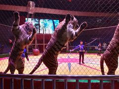 -西安秦岭野生动物园