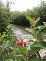 -大望京儿童游乐场