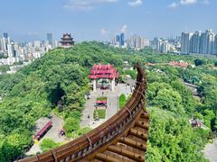 -黄鹤楼公园(黄鹤楼)