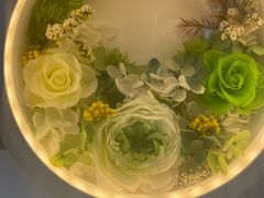 -荷兰花海