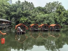 -侨美·唐荔园·40年地道粤菜