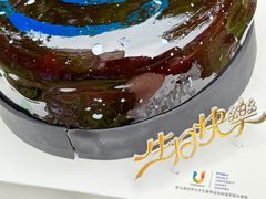-维尔纳斯·生日蛋糕·动物奶油冰淇淋蛋糕(六里桥店)