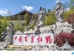 -贵州百里杜鹃风景名胜区