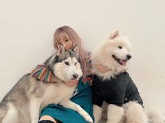 -星多哈·狗咖·拼豆·咖啡
