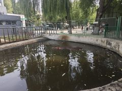 -保定市动物园