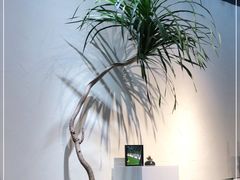 -Catch Bagel(芳草地店)