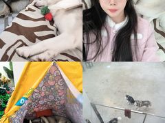 -星多哈·狗咖·拼豆·咖啡