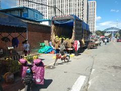 -岳各庄批发市场(西四环中路店)