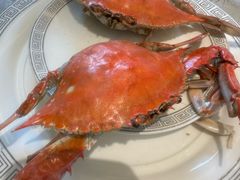 -渔公码头·九龙湾国际饭店