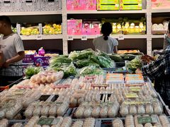 -洛阳郁金香牡丹园