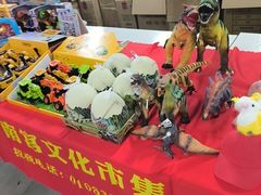 -南宫五洲植物乐园