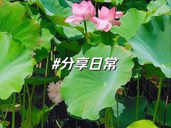 -黄兴公园