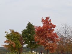 -长春净月潭风景名胜区